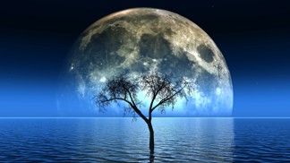 Jak se do vás promítá element vašeho znamení? Máte ohnivý temperament, nebo připomínáte vodní hladinu?