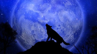 Vlčí úplněk přichází: 3 znamení zvěrokruhu, kterým přinese pekelně žhavý flirt