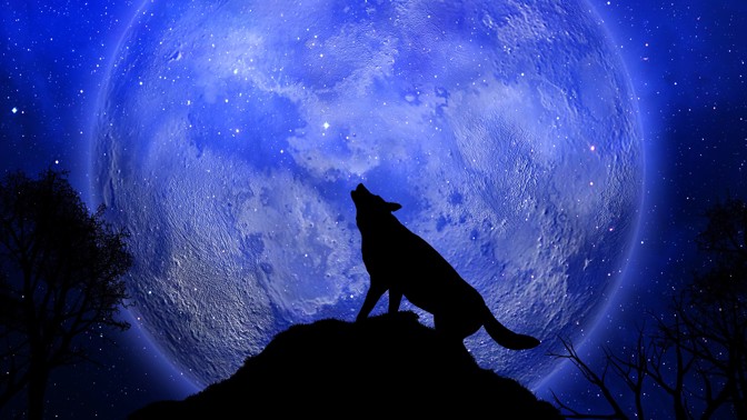 Vlčí úplněk přichází: 3 znamení zvěrokruhu, kterým přinese pekelně žhavý flirt