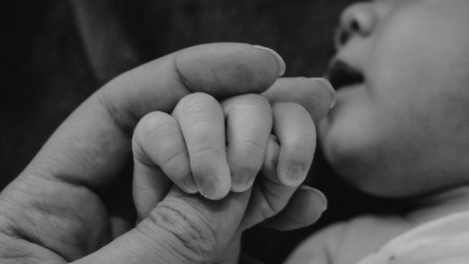 Kontroverzní experiment s mateřskou láskou: Psycholog Harry Harlow izoloval malé opice, přestávaly jíst a umíraly