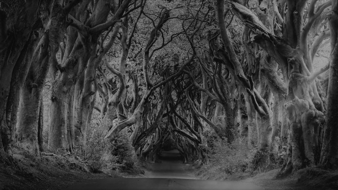 Záhadný trojúhelník v Irsku: Proč v okolí Dublinu zmizelo beze stopy osm žen?