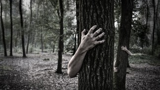 Nejstrašidelnější lesy na světě: Prý v nich lze potkat duchy, paní v bílém i Jerseyského ďábla