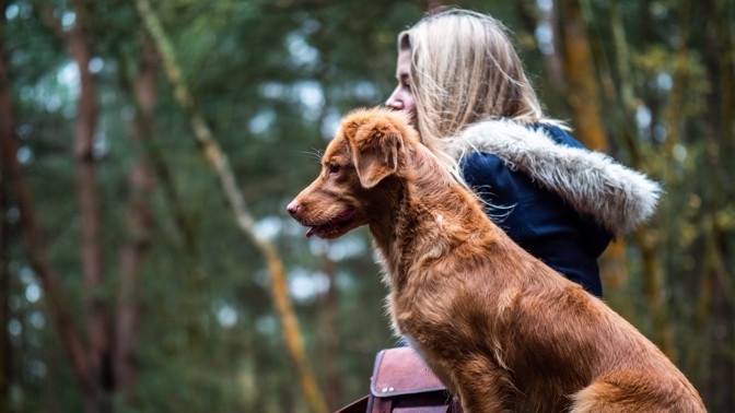 Eva (30): Při venčení na louce se můj pes najednou rozštěkal. Co jsem spatřila poté, už z paměti nevymažu