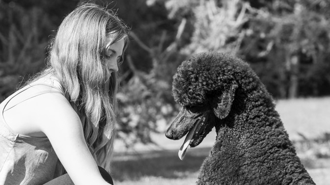 Veronika (34): Dva roky po babiččině smrti jsem dostala pudlíka. Jak se zdá, není tak docela obyčejný