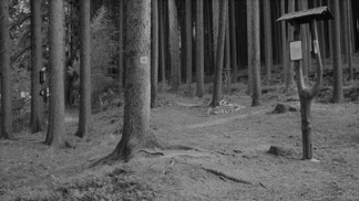 Děsivá smrt Anežky Hrůzové: Údajného vraha se zastal Tomáš Garrigue Masaryk, sklidil za to posměšky a výhružky