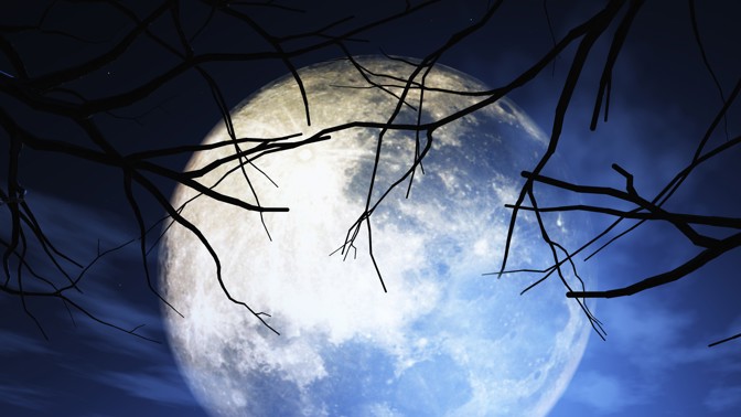 Vraní úplněk v Panně přichází: Třem šťastným znamením zvěrokruhu přinese pozitivní změny