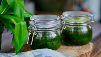 Pesto z medvědího česneku: Na jednoduchý recept vám stačí tři ingredience