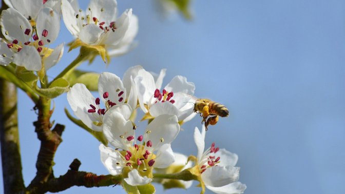 Na letošní jaro nezapomenete! Pomohou vám s tím tyto novinky