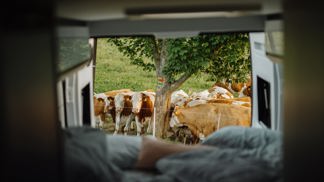 Inspirace na cestování po Česku. Tyhle místa musíte navštívit