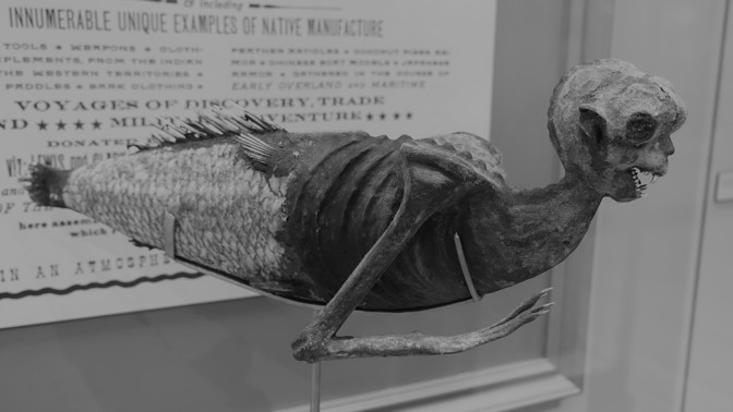 Mořská panna z Fidži: Podivné stvoření fascinovalo celou Ameriku, přitom šlo o opici sešitou s rybou