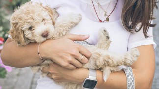 Hana (29): Za deštivého večera jsem vzala domů opuštěné štěně. Díky němu jsem si uvědomila, jaký je můj přítel sobec