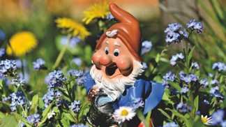 Podivuhodná historie zahradních trpaslíků: Čepičku mají od rybářů, přátelskou podobu jim dal Walt Disney