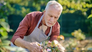 Pavel (56): Zahrada je moje chlouba. Jenže soused mě začal kopírovat. A ještě se tím chlubí