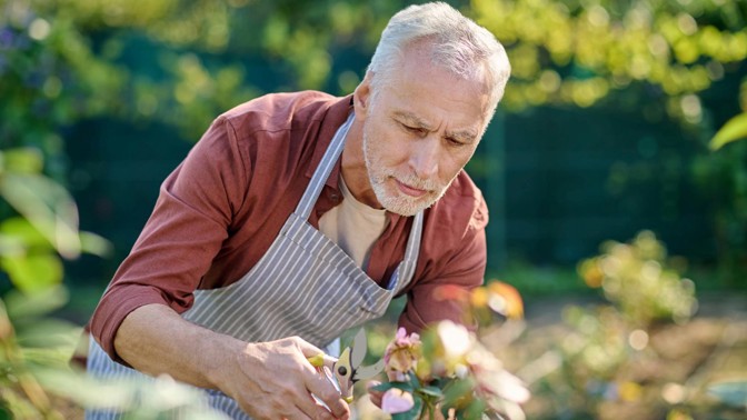 Pavel (56): Zahrada je moje chlouba. Jenže soused mě začal kopírovat. A ještě se tím chlubí