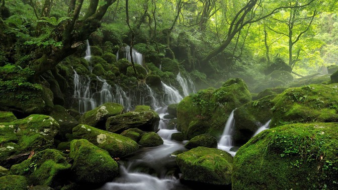 Kletba Brunswických pramenů: Prý dovedou léčit, ale také brát život