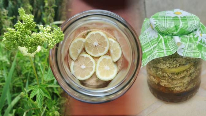 Vyzkoušeno redakcí: Domácí tužebníkový sirup usnadní dětem nástup do školy. Posiluje imunitu i mírní průjmy