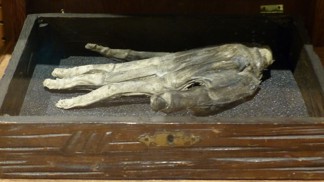 Bizarní nebo magická? Tajemná Ruka slávy! Údajně pomáhala zlodějům otevřít všechny dveře a znáte ji třeba i z Harryho Pottera