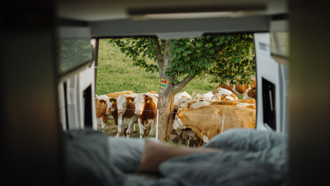 5 originálních svatebních dárků aneb jak nebýt nudným svatebčanem