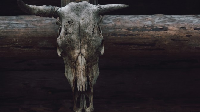 Bestiální vražda Marka Kilroye: Mexický woodoo kartel ho znásilnil a tělo brutálně zohavil. Spolu s dalšími 14 obětmi