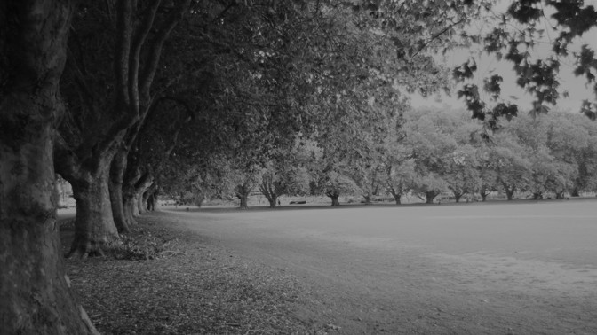 Šílenství ve dvou aneb Příběh Juliet a Pauline, které spolu v parku zabily maminku, aby spolu mohly dál kamarádit