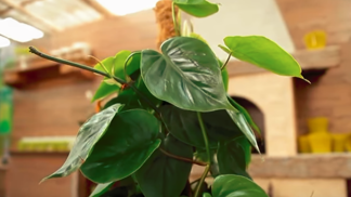 Toxiny sice člověk moc nevnímá, ale z cigaretového kouře vás může pořádně bolet hlava.