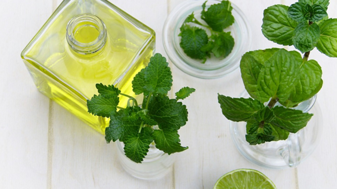 Máta vždy pohladí žaludek.