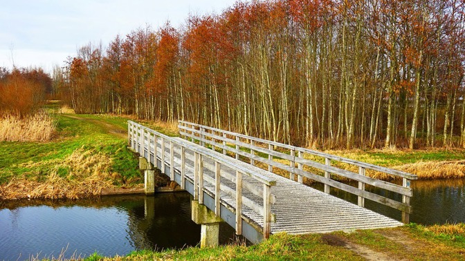 Lidé se dokáží zamilovat i do neživých věcí.