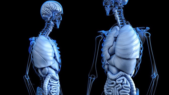 Co všechno ve svém těle nepotřebujeme?