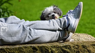 Za smradlavé nohy se stydí mnoho lidí.