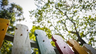 První cesta do školky může být stresující pro obě strany