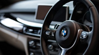 Špatně v autě se nedělá jenom lidem, ale i zvířatům