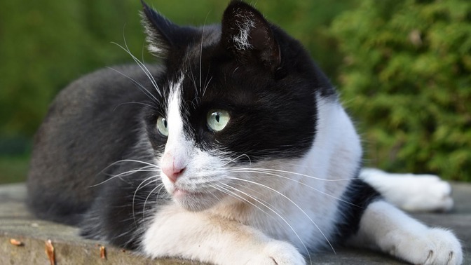 Docela by nás zajímalo, co se chudákovi taxikáři honilo hlavou.