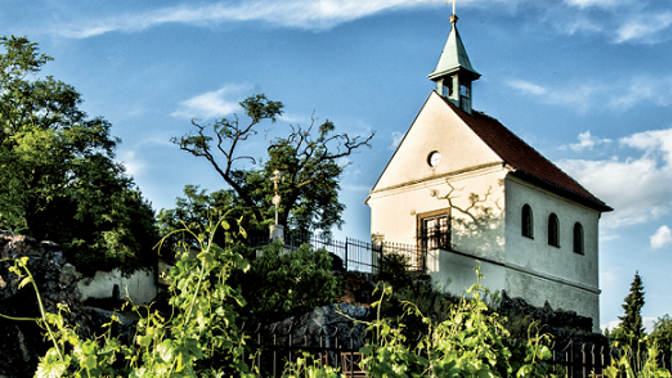 Nenechte si ujít putování mezi vinicemi.