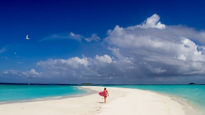 Cestování miluje každý.