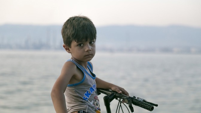 Pomoci můžete i vy. Stačí si hru stáhnout do mobilu