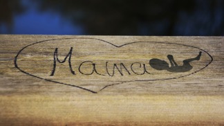 Ne vždy jsou snahy úspěšné