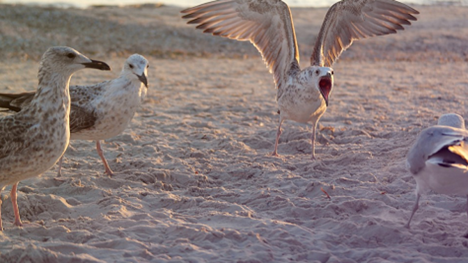 Nárok na odpočinek máte vždycky.