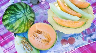 Meloun je pro nás stále záhadou.