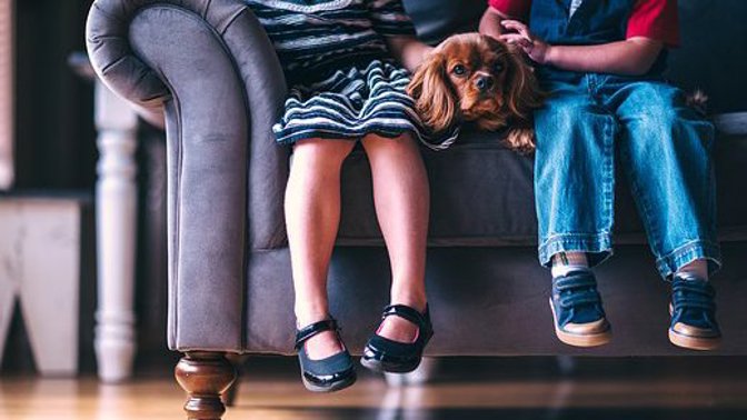 Odborné studie prokázaly důležitost dobrých rodinných vztahů pro zdravou imunitu dítěte.