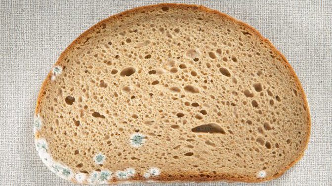 Okrajuje vaše babička plíseň z chleba? Možná na tom není tak špatně, jak si myslíte...