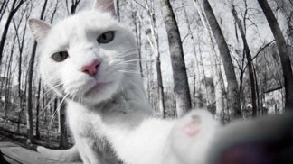 Dneska vypadám obzvlášť dobře!