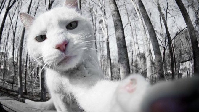 Dneska vypadám obzvlášť dobře!