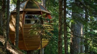 Jednopokojový loft v Kanadě byl postaven nelegálně a má tvar vejce. Jak to asi vypadá uvnitř?