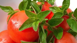 Čerstvá rajčata jsou hlavní surovinou kvalitního kečupu.