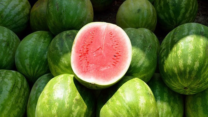 Meloun je v letním počasí velmi oblíbený.