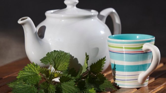 Dopřejte si detox pomocí odvaru z kopřivy