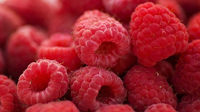 Maliny jsou oblíbeným letním ovocem.