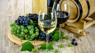 Čas vinobraní je tu a s ním i spojená kocovina