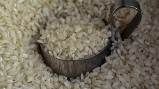 Uvařit správně rýži není nic snadného