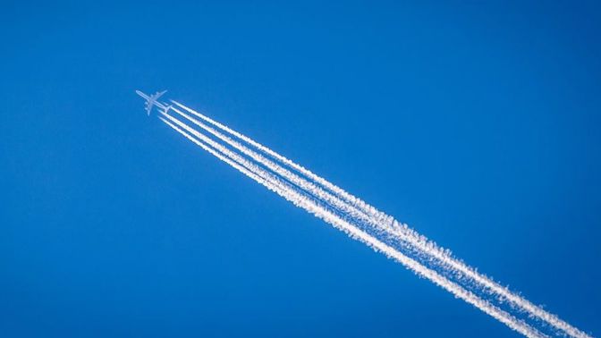 Živit se létáním vyžaduje značnou flexibilitu a pevné nervy.